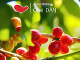inSong
