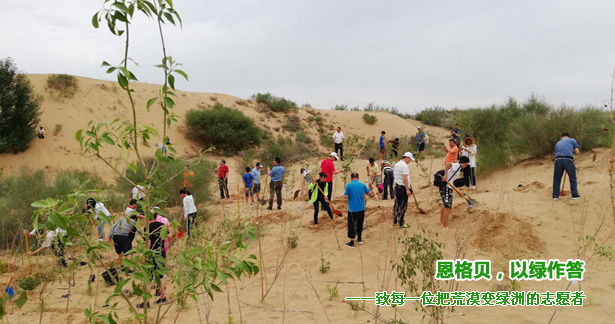 恩格贝，以绿作答